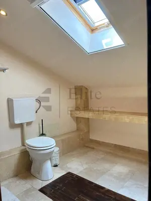 Casa ultracentrala - o oaza de liniste in inima orasului - imagine 9