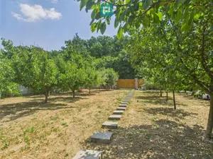 Teren edificabil 1106 mp – Dumbrăvița