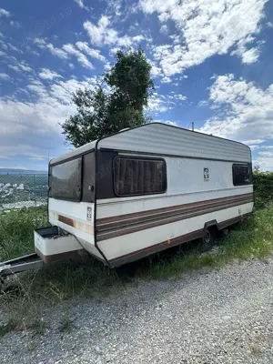 Rulota inmatriculata 