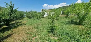 Teren de vanzare zona Ampoita