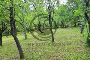 Casa 4 camere de vanzare | Zona linistita | Talea Prahova | Comision0% - imagine 17