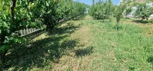 Teren de vanzare zona Ampoita - imagine 9