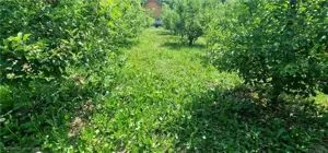 Teren de vanzare zona Ampoita - imagine 5