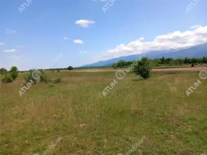 Teren intravilan 5000 mp pe Valea Avrigului, Sibiu - imagine 9