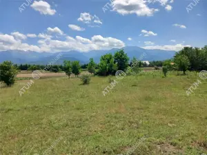 Teren intravilan 5000 mp pe Valea Avrigului, Sibiu - imagine 6