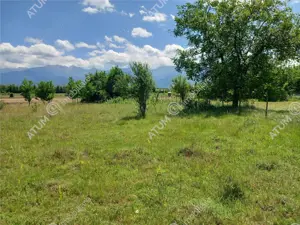 Teren intravilan 5000 mp pe Valea Avrigului, Sibiu - imagine 4