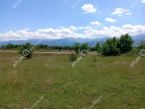 Teren intravilan 5000 mp pe Valea Avrigului, Sibiu - imagine 7