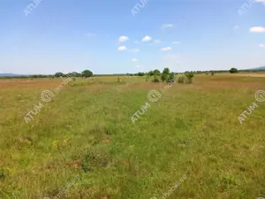 Teren intravilan 5000 mp pe Valea Avrigului, Sibiu - imagine 3