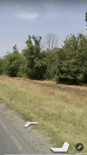 Vand teren extravilan pădure  - imagine 4