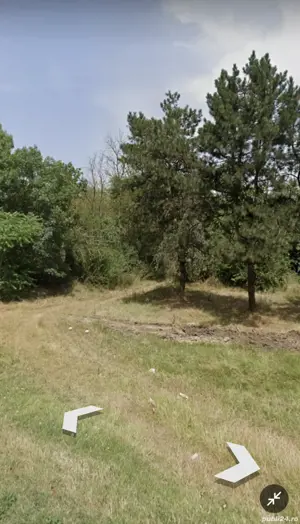 Vand teren extravilan pădure  - imagine 3