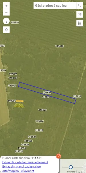 Vand teren extravilan pădure  - imagine 5