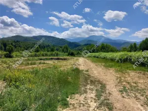 Teren intravilan 3900 mp Porumbacu de Sus, Sibiu - imagine 12