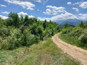 Teren intravilan 3900 mp Porumbacu de Sus, Sibiu - imagine 13