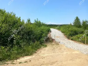 Teren intravilan 3900 mp Porumbacu de Sus, Sibiu - imagine 10