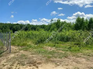 Teren intravilan 3900 mp Porumbacu de Sus, Sibiu - imagine 8