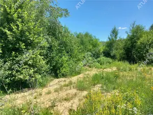 Teren intravilan 3900 mp Porumbacu de Sus, Sibiu - imagine 15