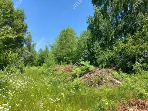 Teren intravilan 500 mp in Porumbacu de Sus, Sibiu - imagine 7