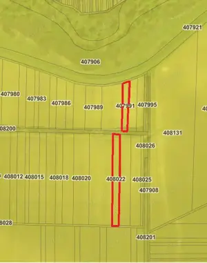 Vând terenuri extravilane și intravilan în Babșa-Belinț - imagine 5