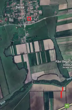 Vând terenuri extravilane și intravilan în Babșa-Belinț - imagine 4