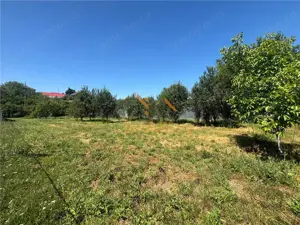 TEREN INVESTITIE BAILE FELIX  P+4  FRONT 18 ML 750 MP - imagine 2