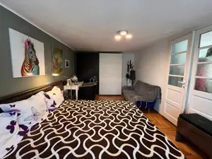 Lugoj,  Vila de Vis Cu Piscina, 440 Mp. Construiti, 820 Mp. Teren - imagine 12