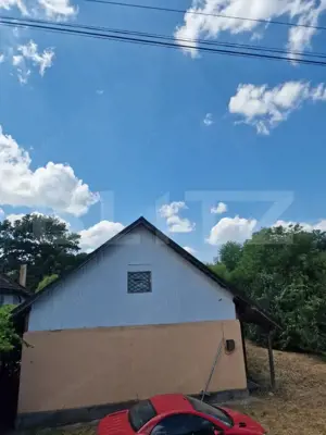 Casa cu 4 camere, 100 mp,si teren 700mp, zona Leoni  - imagine 3