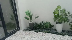 Sacalaz- proiect deosebit-4 camere- curte interioara