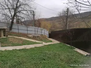 Lipova, gospodarie bine intretinuta - imagine 9