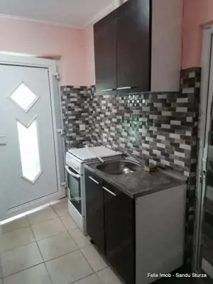 Lipova, gospodarie bine intretinuta - imagine 8