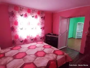 Lipova, gospodarie bine intretinuta - imagine 5