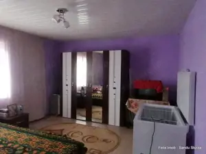 Lipova, gospodarie bine intretinuta - imagine 4