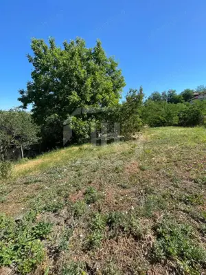 Teren intravilan, suprafata utila 2460 mp, Cojocna - imagine 3