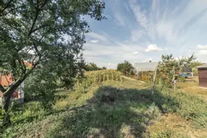 Tartasesti,str. Principala, 3040 mp teren, P+1, casa 1998, deschidere 12 m - imagine 14