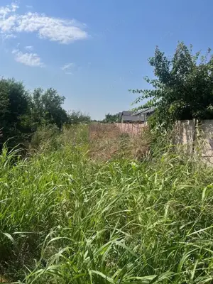 Teren Clinceni- Fortului- Ortansei. - imagine 2