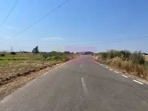 Teren Domnesti- Fortului.