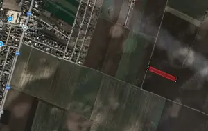 Dascalu - ilfov, 2 parcele , teren intravilan - imagine 2