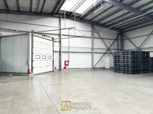 De Inchiriat Hala industria- PREMIUM – 720 mp, Arad | Doc, rampă TIR - imagine 5