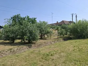  CASĂ MARE în Nădlac cu teren generos 2095mp - imagine 3