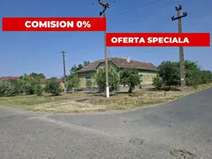  CASĂ MARE în Nădlac cu teren generos 2095mp - imagine 2