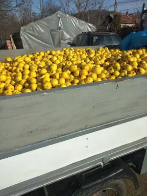 Camioane basculabil 3,5 nissan  - imagine 5