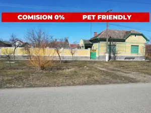  CASĂ MARE în Nădlac cu teren generos 2095mp - imagine 4