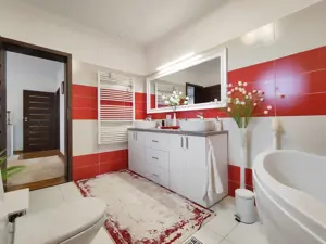 Vilă modernă de vânzare în Livada, Arad - imagine 10