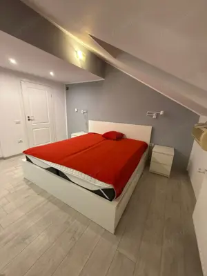 Casa individuala cu 8 camere teren de 832 mp zona Girocului - imagine 11