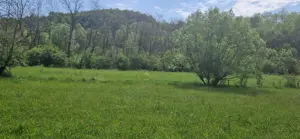 Vând teren intravilan pentru construcţie locuinţă în Brad jud. HD - imagine 3