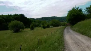 Vând teren intravilan pentru construcţie locuinţă în Brad jud. HD - imagine 6