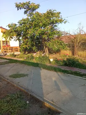 vând casă în Comuna Nanov  - imagine 4