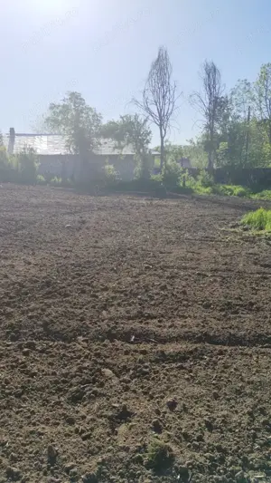 Vând teren 1500mp2 Stoenesti-Giurgiu - imagine 3