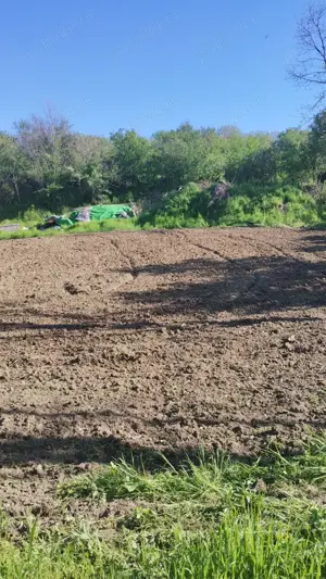 Vând teren 1500mp2 Stoenesti-Giurgiu - imagine 4