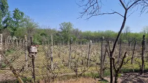 Casa de vanzare comuna Ianca jud olt - imagine 10