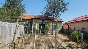 Casa de vanzare comuna Ianca jud olt - imagine 2